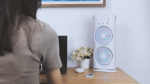 Double Ended Spray Fan   Ajhiza